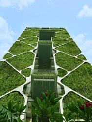 Tree House (D23), Condominium #562081101